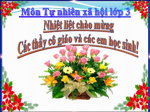 Tuần 16. Về quê ngoại