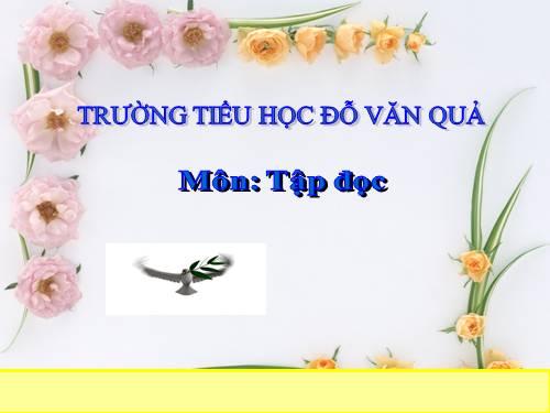 Tuần 22. Cái cầu