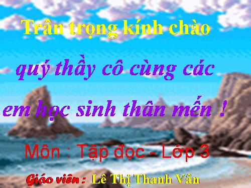 Tuần 13. Cửa Tùng