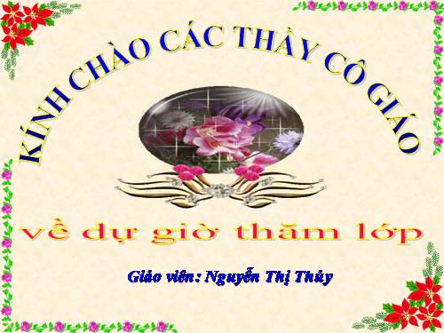 Tuần 25. Hội đua voi ở Tây Nguyên