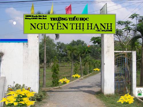 Tuần 25. Hội vật