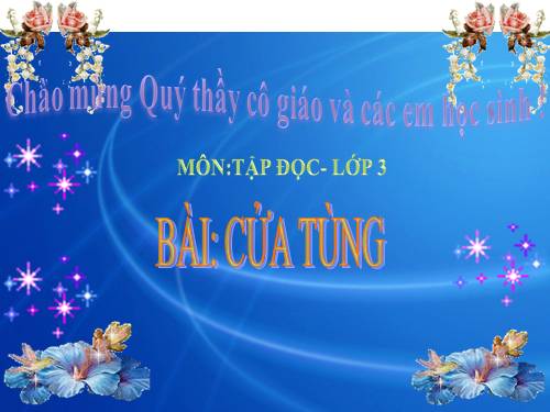 Tuần 13. Cửa Tùng