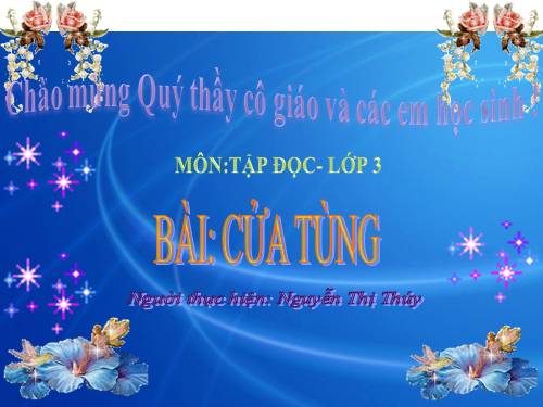 Tuần 13. Cửa Tùng