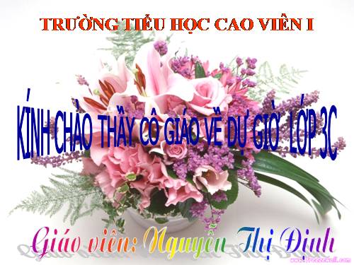 Tuần 20. Chú ở bên Bác Hồ