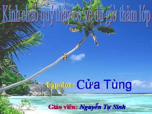 Tuần 13. Cửa Tùng