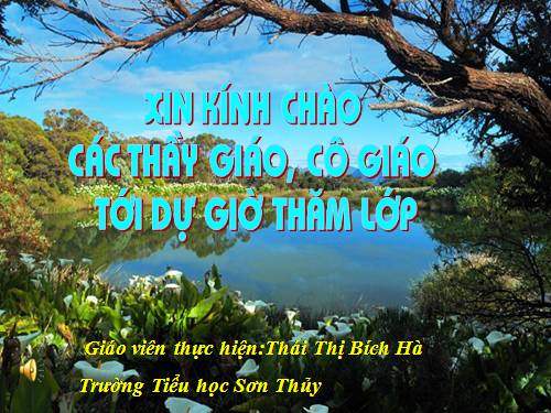 Tuần 12. Cảnh đẹp non sông