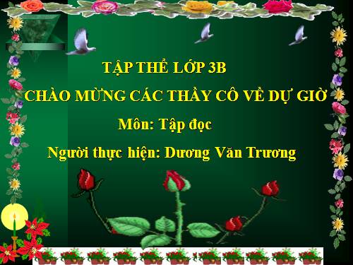 Tuần 13. Cửa Tùng