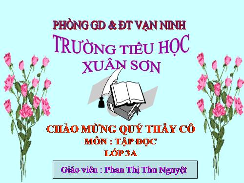 Tuần 13. Cửa Tùng