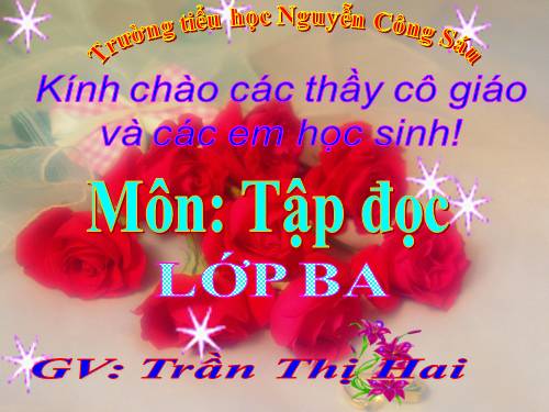 Tuần 3. Chiếc áo len