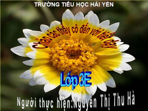 Tuần 28. Cùng vui chơi