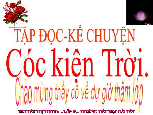 Tuần 33. Cóc kiện Trời