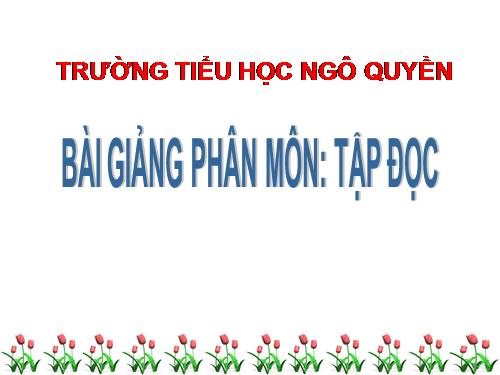 Tuần 13. Cửa Tùng