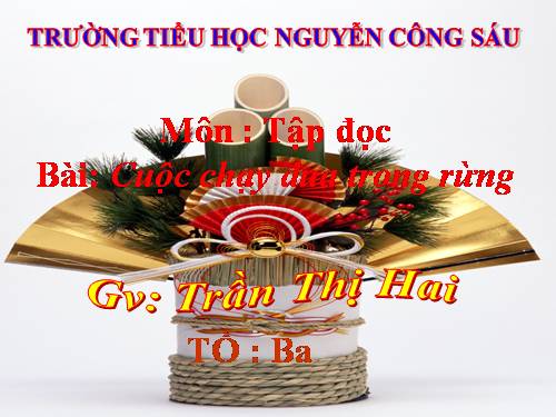 Tuần 28. Cuộc chạy đua trong rừng