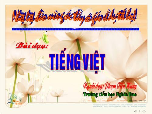 Tuần 22. Cái cầu