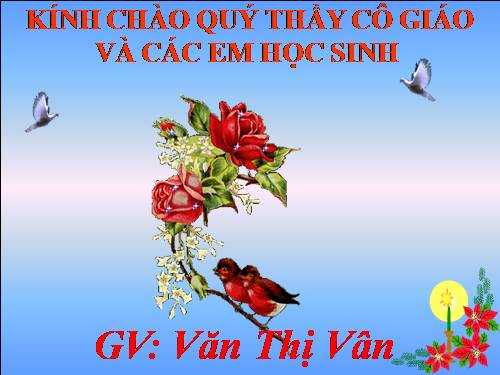 Tuần 16. Về quê ngoại