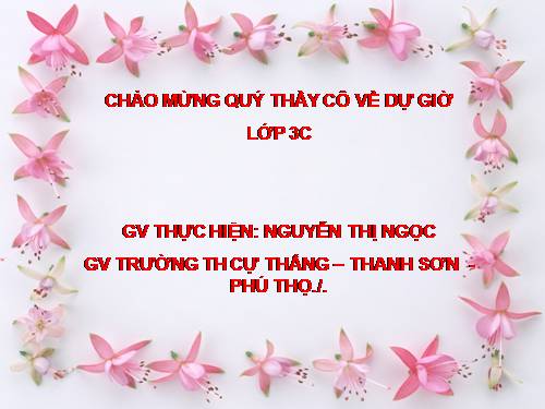 Tuần 20. Chú ở bên Bác Hồ