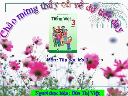 Tuần 12. Nắng phương Nam