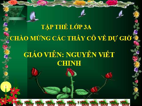 Tuần 13. Cửa Tùng