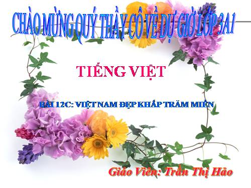 Tiếng việt