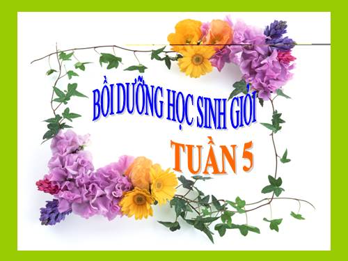 Bồi dưỡng học sinh giỏi lớp 3