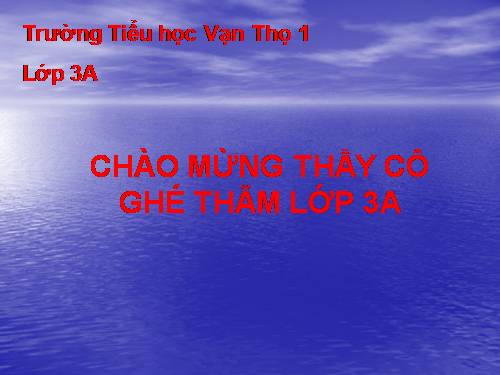 TV bai 3C lớp 3 VNEN