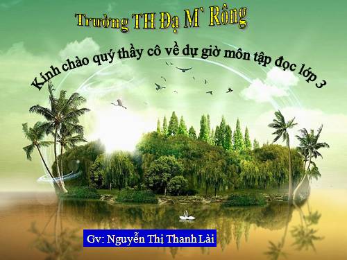 Tuần 13. Cửa Tùng