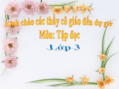 Tuần 22. Cái cầu