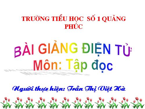 Tuần 13. Cửa Tùng