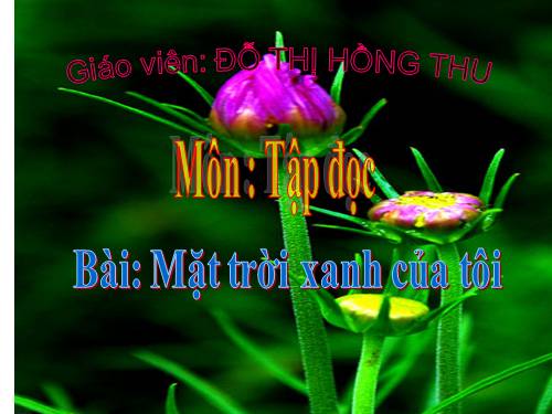 Tuần 33. Mặt trời xanh của tôi