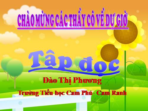 Tuần 28. Cuộc chạy đua trong rừng