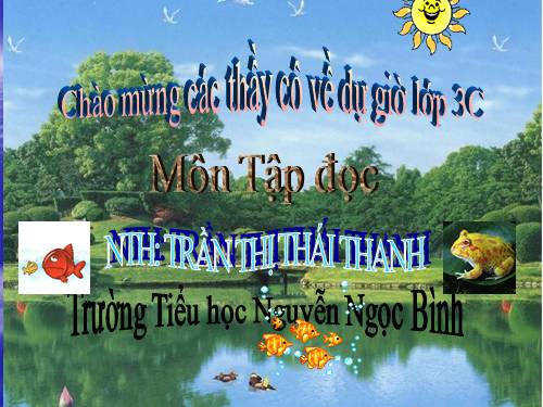 Tuần 13. Cửa Tùng