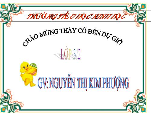 Tuần 28. Cùng vui chơi