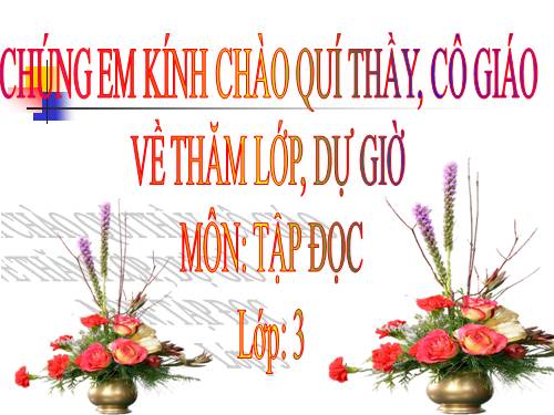 Tuần 12. Cảnh đẹp non sông