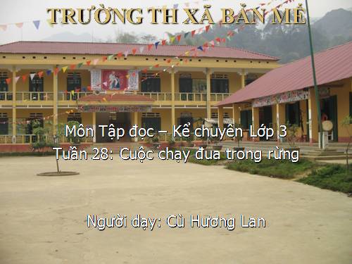 Tuần 28. Cuộc chạy đua trong rừng