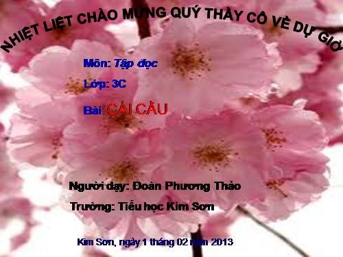 Tuần 22. Cái cầu