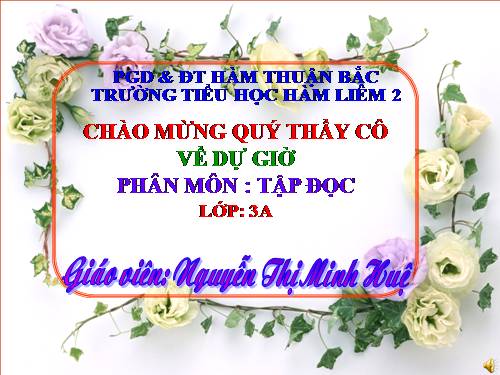 Tuần 20. Chú ở bên Bác Hồ