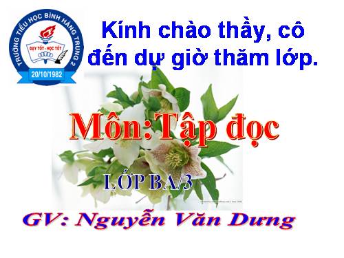 Tuần 13. Cửa Tùng