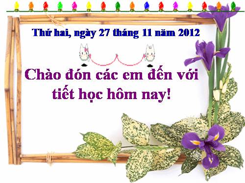 Tuần 16. Đôi bạn