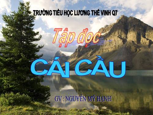 Tuần 22. Cái cầu