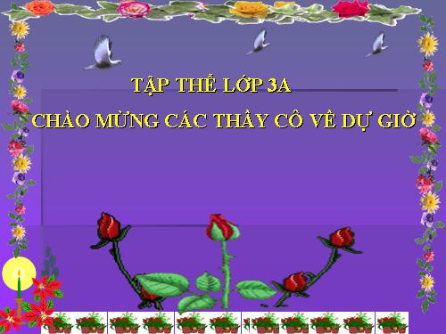 Tuần 13. Cửa Tùng