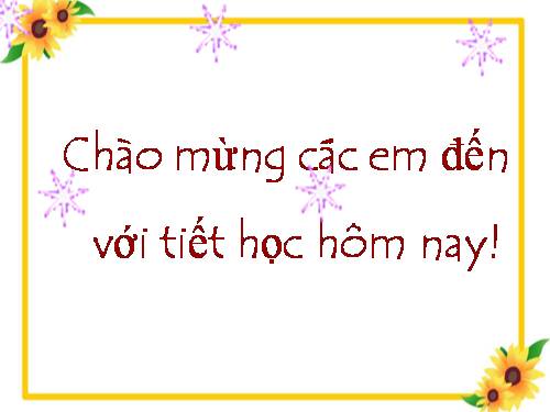 Tuần 8. Các em nhỏ và cụ già