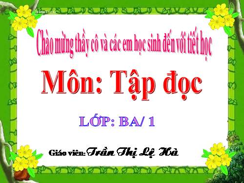 Tuần 13. Cửa Tùng