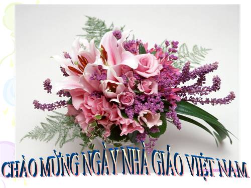 Tuần 13. Cửa Tùng