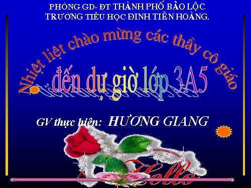 Tuần 13. Cửa Tùng