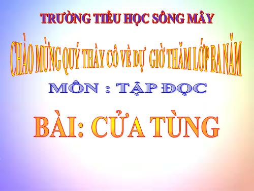 Tuần 13. Cửa Tùng