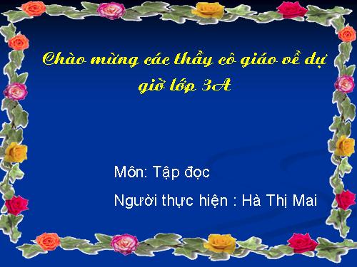 Tuần 13. Cửa Tùng