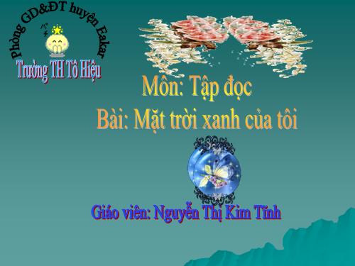 Tuần 33. Mặt trời xanh của tôi