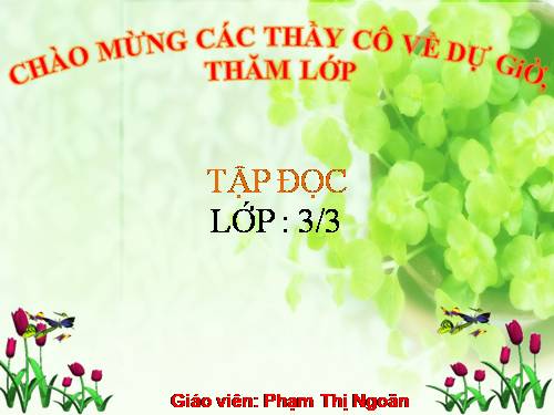 Tuần 8. Các em nhỏ và cụ già