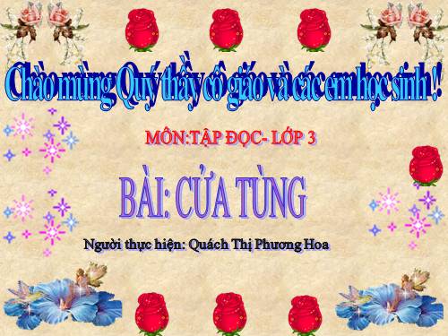 Tuần 13. Cửa Tùng