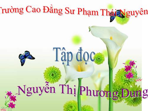 Tuần 8. Tiếng ru